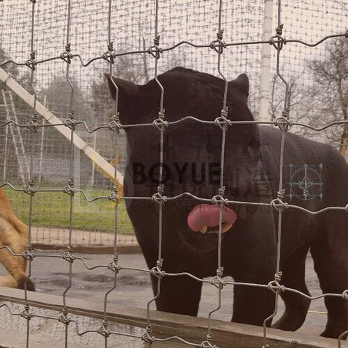 1-240R11A1441O.jpg 1-240R11A1441O.jpg