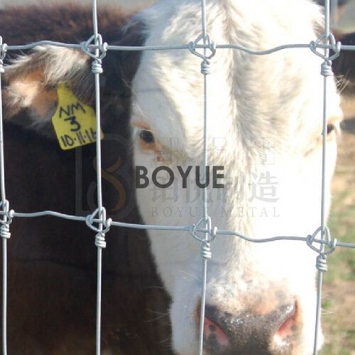 <strong>Galvanzied Hexagonal Wire Mesh</strong>