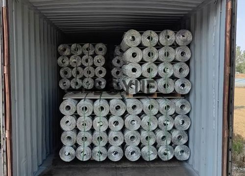 1-2409111P60MH.JPG 1-2409111P60MH.JPG