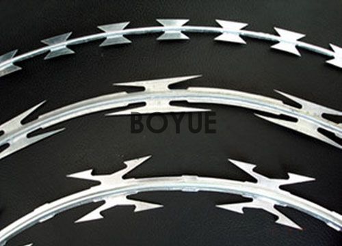 1-240919121023X9.jpg 1-240919121023X9.jpg