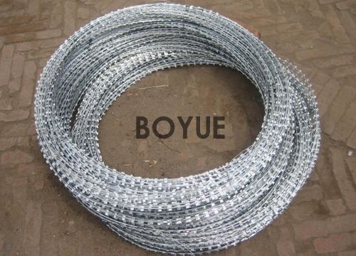 1-24091912113G08.jpg 1-24091912113G08.jpg