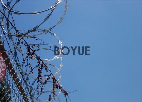 1-240919121332956.jpg 1-240919121332956.jpg