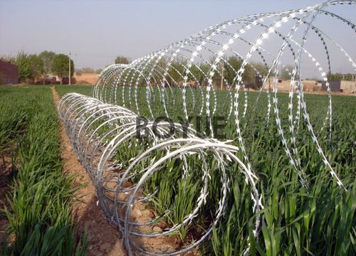 1-240919120Ra20.jpg 1-240919120Ra20.jpg