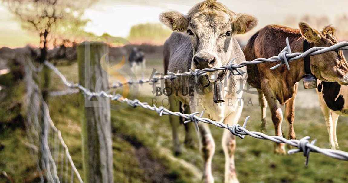 1-240R9223636203.jpg 1-240R9223636203.jpg