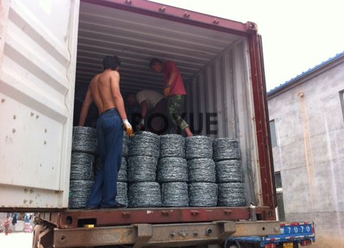 1-240R922393G34.JPG Barbed Iron Wire(图7)