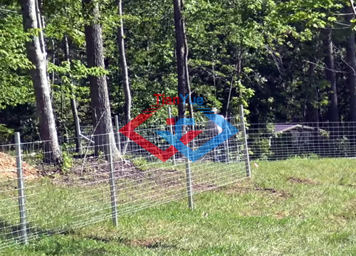 Fixed Knot Fence (图5)