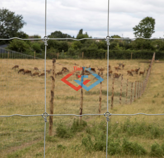 Fixed Knot Fence (图6)